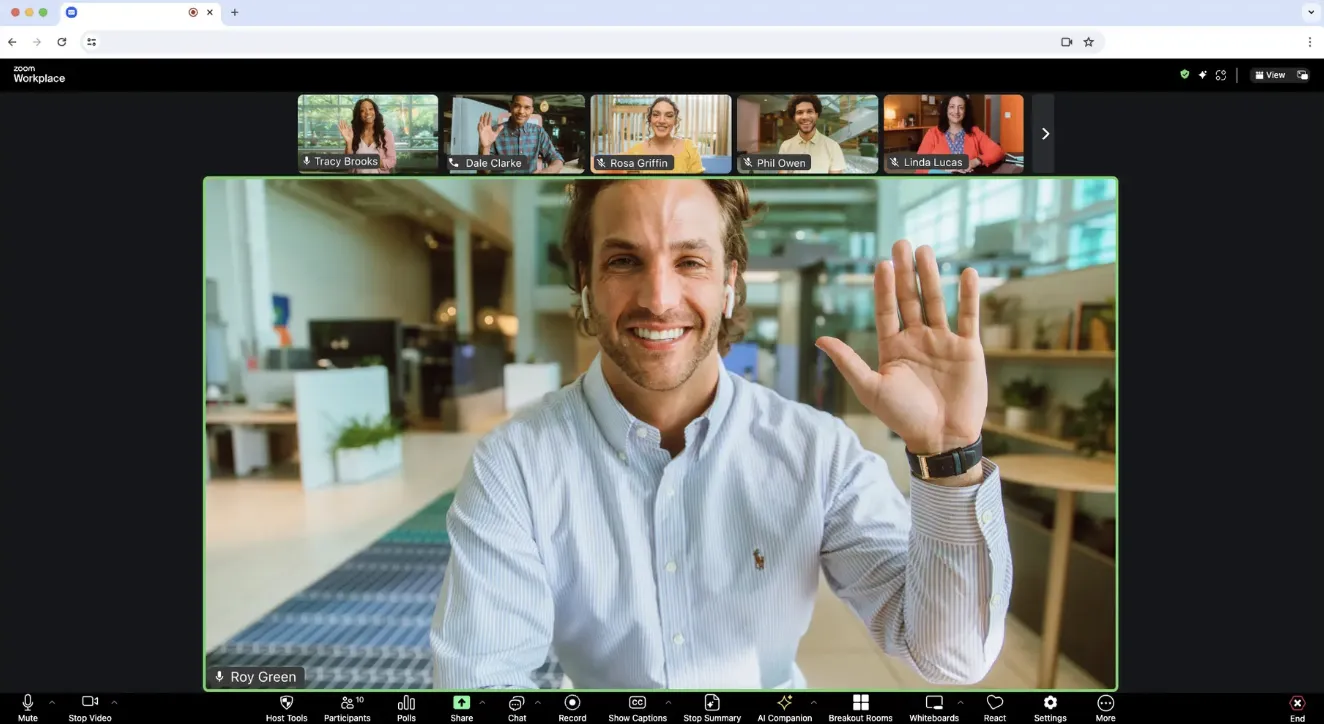 Zoom interface screenshot 2