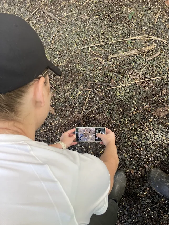 Mission Beach Cassowaries team using Cassie AI